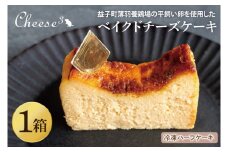 ベイクドチーズケーキ　冷凍ハーフケーキ｜栃木県 益子町 ふるさと納税 チーズケーキ ベイクドチーズケーキ ケーキ 冷凍ケーキ（CP004）
