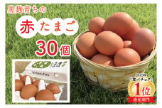 黒麹育ちの赤たまご30個 |栃木県 益子町 ふるさと納税 たまご 卵 タマゴ 赤たまご 人気 濃厚 食べチョク (BC007)