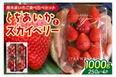 【2026年1月発送開始】【先行予約】合計1,000g 栃木県産 いちご食べ比べセット 甘くて可愛い「とちあいか」× 大粒高級「スカイベリー」 | 栃木県 ふるさと納税 いちご イチゴ 苺 果物 フルーツ とちあいか ご褒美 ハート型 熟成 スカイベリー 大粒いちご セット 食べ比べ こだわり (DS003)