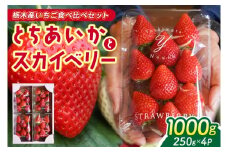 【2026年1月発送開始】【先行予約】合計1,000g 栃木県産 いちご食べ比べセット 甘くて可愛い「とちあいか」× 大粒高級「スカイベリー」 | 栃木県 ふるさと納税 いちご イチゴ 苺 果物 フルーツ とちあいか ご褒美 ハート型 熟成 スカイベリー 大粒いちご セット 食べ比べ こだわり (DS003)