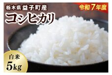＼令和7年産・先行予約／【数量限定】あい　farm　やなぎのお米　令和7年産 コシヒカリ 白米 5kg | 栃木県 益子町 ふるさと納税 お米 米 5kg 白米 (DQ007)