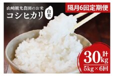 【全6回定期便】＜隔月＞ ★先行予約 10月より順次発送予定★ 山﨑観光農園のお米 コシヒカリ 白米 5kg（合計 30kg）｜栃木県 益子町 ふるさと納税 お米 コシヒカリ 白米 精米 5kg 令和7年産 先行予約 定期便 (AU034)