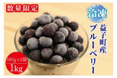 ＼先行予約・数量限定／益子町産 冷凍ブルーベリー 1㎏ フルーツ 果物 (AA020-1)