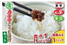 青唐辛子こうじ漬けセット【ピリ辛・辛口・激辛・田楽みそ】ごはん お弁当 おつまみ トッピング おすそ分け（AK009）