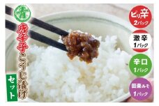 青唐辛子こうじ漬けセット【ピリ辛・辛口・激辛・田楽みそ】ごはん お弁当 おつまみ トッピング おすそ分け（AK009）