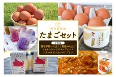 ＼薄羽養鶏場の濃厚たまごを使用／ たまごセット 濃厚たまご＆絶品加工品 6点セット｜栃木県 益子町 たまご 卵 タマゴ 平飼い 酵母平飼い 人気 濃厚 食べチョク カレー チキンカレー プリン とろたまぷりん フィナンシェ 焼き菓子 ディップソース (BC009)