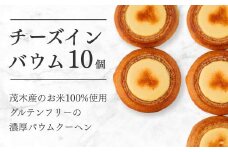 バウムクーヘン 茂木町産米粉100%使用 チーズインバウム 10個 | バームクーヘン スイーツ コシヒカリ 米粉 チーズ ブルーベリー グルテンフリー 発酵 バター コーヒー ベイクドチーズケーキ 洋菓子 ヌン活 お菓子 ギフト 贈答用 プレゼント 箱詰め 箱入り 詰め合せ 濃厚 紅茶 冷凍 酸味 地元産 もちもち 道の駅 もてぎプラザ 栃木県 茂木町