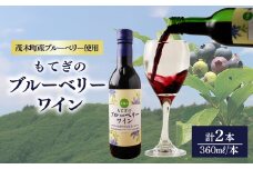 茂木産ブルーベリーを使用した　ブルーベリーワイン360ml×2本セット | ワイン ブルーベリー  赤ワイン フルーツワイン フルーツ フルーティー お酒 酒 アルコール7% お土産 プレゼント ギフト 贈り物 地元産 手摘み 収穫 果実 果汁 発酵 晩酌 家飲み もてぎプラザ 栃木県 茂木町