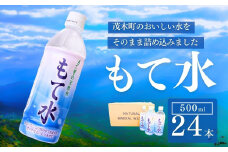 もてぎの天然水 「もて水」 500ml×24本 | 天然水 ミネラルウォーター 水 水分補給 水分 軟水 ミネラル 国産 行楽 スポーツ 防災 もてぎプラザ 栃木県 茂木町