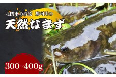 天然なまず(切り身) 北関東の清流「那珂川産」 300g～400g 真空冷凍 | 天然 鯰 ナマズ 鮮魚 新鮮 北関東 清流 天ぷら から揚げ 味噌漬け焼き アヒージョ Riverline 栃木県 茂木町