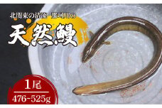 天然鰻 北関東の清流「那珂川産」 1尾 476～525g 真空冷凍 | 鰻 うなぎ ウナギ 天然 天然うなぎ 希少 貴重 鮮魚 新鮮 北関東 清流 蒲焼 かば焼き 白焼き 炭火焼 うな重 うな丼 Riverline 栃木県 茂木町