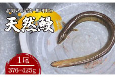 天然鰻 北関東の清流「那珂川産」 1尾 376～425g 真空冷凍 | 鰻 うなぎ ウナギ 天然 天然うなぎ 希少 貴重 鮮魚 新鮮 北関東 清流 蒲焼 かば焼き 白焼き 炭火焼 うな重 うな丼 Riverline 栃木県 茂木町