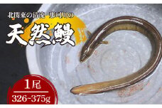 天然鰻 北関東の清流「那珂川産」 真空冷凍 1尾 326～375g | 鰻 うなぎ ウナギ 天然 天然うなぎ 希少 貴重 鮮魚 新鮮 北関東 清流 蒲焼 かば焼き 白焼き 炭火焼 うな重 うな丼 Riverline 栃木県 茂木町