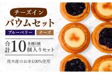 バウムクーヘン茂木町産米粉100%使用 チーズ＆ブルーベリーバウムセット 10個(5個×2種) | バームクーヘン スイーツ コシヒカリ 米粉 チーズ ブルーベリー グルテンフリー 発酵 バター コーヒー ベイクドチーズケーキ 洋菓子 ヌン活 お菓子 ギフト 贈答用 プレゼント 箱詰め 箱入り 詰め合せ  濃厚 紅茶 冷凍 酸味 地元産 もちもち 道の駅 もてぎプラザ 栃木県 茂木町