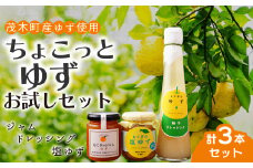 柚子のジャム＆調味料 お試しセット ジャム＆ドレッシング＆塩ゆず３本セット | ゆず 柚子 トッピング 柑橘 焼肉 タレ ドレッシング サラダ 野菜 ノンオイル ヘルシー マリネ カルパッチョ しおゆず 果実 フルーツ 手作り 果肉 朝食 トースト パン ヨーグルト 詰め合わせ 無着色 保存料 不使用 調味料 料理 調理 冷奴 冷ややっこ 浅漬け もてぎプラザ 栃木県 茂木町 