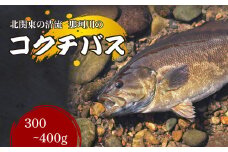 コクチバス 北関東の清流「那珂川産」300～400g 冷凍 | コクチバス 天然 鮮魚 川魚 釣り 新鮮 北関東 清流 唐揚げ から揚げ 素揚げ 塩焼き 炭火焼 外来魚 特定外来生物 未利用魚 Riverline 栃木県 茂木町