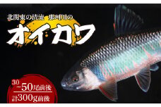 天然オイカワ 北関東の清流「那珂川産」 30～50尾前後 計300g前後 冷凍 | オイカワ 天然 釣り 川魚 鮮魚 新鮮 北関東 清流 唐揚げ から揚げ 素揚げ 塩焼き 炭火焼 Riverline 栃木県 茂木町