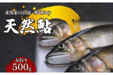 天然鮎(友釣り) 北関東の清流「那珂川産」 500g 真空冷凍 | 鮎 アユ 天然アユ 天然あゆ 魚介 天然 友釣り 鮮魚 新鮮 北関東 清流 塩焼 炭火焼 茶漬け 天ぷら Riverline 栃木県 茂木町