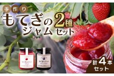 茂木産果実100％使用！ イチゴ＆ブルーベリージャム 160g×4本  保存料・着色料・香料不使用 | いちご イチゴ 苺 ブルーベリー 果実 フルーツ 手作り 果肉 朝食 トースト パン ヨーグルト 詰め合わせ 保存料 着色料 不使用 おいしい 美味しい 茂木産 もてぎプラザ 栃木県 茂木町