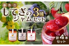 茂木産果実100％使用！ イチゴ＆ブルーベリー＆ゆずジャム 160g×4本  保存料・着色料・香料不使用 | いちご イチゴ 苺 ブルーベリー ゆず 柚子 果実 フルーツ 手作り 果肉 朝食 トースト パン ヨーグルト 詰め合わせ 保存料 着色料 不使用 おいしい 美味しい 茂木産 もてぎプラザ 栃木県 茂木町