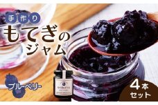 茂木産ブルーベリーを100％使用！ブルーベリージャム 160g×4本  保存料・着色料・香料不使用  | ブルーベリー 果実 フルーツ 手作り 果肉 朝食 トースト パン ヨーグルト 詰め合わせ 保存料 着色料 不使用 おいしい 美味しい 茂木産 もてぎプラザ 栃木県 茂木町