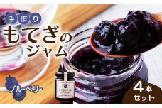 茂木産ブルーベリーを100％使用！ブルーベリージャム 160g×4本  保存料・着色料・香料不使用  | ブルーベリー 果実 フルーツ 手作り 果肉 朝食 トースト パン ヨーグルト 詰め合わせ 保存料 着色料 不使用 おいしい 美味しい 茂木産 もてぎプラザ 栃木県 茂木町