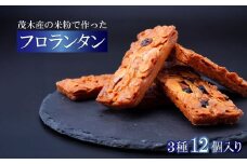 フロランタン 茂木町産米粉100% 12個 セット | 米粉 コシヒカリ 手土産 お土産 ギフト プレゼント ナッツ クッキー キャラメル 焼き菓子 常温 焼菓子 いちご ブルーベリー グルテンフリー コーヒー バター アーモンド もてぎプラザ 栃木県 茂木町