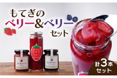 もてぎのベリー&ベリーセット | いちご イチゴ 苺 ブルーベリー 果実 フルーツ 手作り 果肉 朝食 トースト パン ヨーグルト 詰め合わせ 保存料 着色料 不使用 おいしい 美味しい 茂木産 もてぎプラザ 栃木県 茂木町