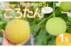［先行受付］美土里農園の高糖度メロン ころたん 1玉（1kg×1個）| メロン ころたん めろん コロタン フルーツ 果物 ギフト 贈り物 食べきりサイズ 美土里農園 栃木県 茂木町
