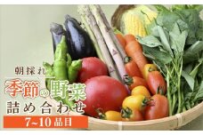 茂木町産 朝採れ 季節の野菜詰め合せ｜野菜 詰合せ 詰め合わせ セット 季節 旬 産地直送 春野菜 夏野菜 秋野菜 新鮮野菜 とうもろこし じゃがいも かぼちゃ ブロッコリー 大根 白菜 季節の野菜 国産野菜 栃木県 茂木町 もてぎプラザ