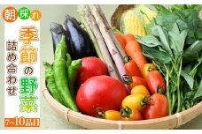 朝採れ 季節の野菜詰め合せ7～10種 茂木町産 ｜野菜 詰合せ 詰め合わせ セット 季節 旬 産地直送 春野菜 夏野菜 秋野菜 新鮮野菜 とうもろこし じゃがいも かぼちゃ ブロッコリー 大根 白菜 季節の野菜 国産野菜 栃木県 茂木町 もてぎプラザ