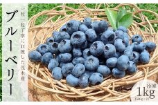 茂木町産 冷凍ブルーベリー 1kg | ブルーベリー 冷凍 フルーツ 果物 ベリー ジャム 朝食 ヨーグルト シャーベット ソース 農園コトリのよりみち 栃木県 茂木町