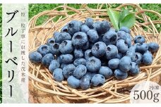 茂木町産 冷凍ブルーベリー500g | ブルーベリー 冷凍 フルーツ 果物 ベリー ジャム 朝食 ヨーグルト シャーベット ソース 農園コトリのよりみち 栃木県 茂木町