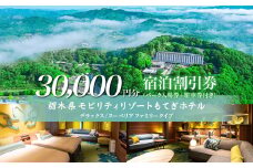 モビリティリゾートもてぎ ホテル宿泊補助券 30,000円分 | ホテル 宿泊 ツインリンクもてぎ 露天風呂 ビュッフェ プレートランチ 地元野菜 レストラン レーシングマシン アクティビティ ジェットバス 自然体験 夏休み 親子 遊ぶ 子連れ 森遊び 栃木県 茂木町