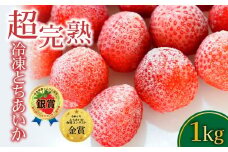 冷凍いちご 完熟とちあいか 1kg（500g×2） | いちご イチゴ 苺 とちあいか 完熟 ジャム スムージー スイーツ デザート アイス シャーベット 果物 フルーツ  鈴木いちご園 栃木県 茂木町