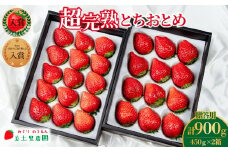 【先行受付：2月以降発送】いちご「茂木完熟いちご」　美土里農園の朝採れ とちおとめ ギフト 450g×2箱 合計 900g | いちご イチゴ 苺 とちおとめ 完熟 甘い あまい 果物 フルーツ 贈答 ギフト プレゼント 美土里農園 栃木県 茂木町