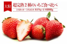 【先行受付：3月以降発送】いちご「茂木完熟いちご」 篠崎さんが育てた とちおとめ＆とちあいか 大粒 食べ比べセット 約270g×各2パック 合計 約1080g | いちご イチゴ 苺 とちあいか とちおとめ 完熟 大粒 果物 フルーツ くだもの 旬 産地直送 栃木県産 篠崎いちご園 栃木県 茂木町