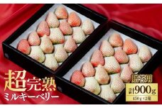 【先行受付：3月以降発送】鈴木ファーム厳選『幻のミルキーベリー』ギフト900g(450g×2箱) | いちご イチゴ 苺 ミルキーベリー ミルキー 完熟 果物 フルーツ 甘い あまい贈答用 ギフト プレゼント 鈴木ファーム 栃木県 茂木町