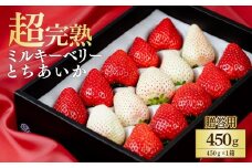 【先行受付：1月中旬以降発送】鈴木ファームの完熟&朝摘み とちあいか ＆ ミルキーベリー ギフト 450g×1箱 | いちご イチゴ 苺 とちあいか ミルキーベリー 完熟 甘い あまい 果物 フルーツ くだもの 旬 産地直送 栃木県産 鈴木ファーム 栃木県 茂木町