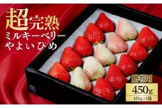 【先行受付：2月以降発送】いちご 鈴木ファーム ギフト やよいひめ×ミルキーベリー 450g ×1箱 | いちご イチゴ 苺 やよいひめ ミルキーベリー 完熟 甘い あまい 果物 フルーツ 鈴木ファーム 栃木県 茂木町
