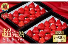 【先行受付：3月以降発送】いちご 鈴木ファームの完熟＆朝どれ とちあいか ギフト900g(450g × 2箱） | いちご イチゴ 苺 とちあいか とちおとめ 完熟 甘い あまい 果物 フルーツ 鈴木ファーム 栃木県 茂木町