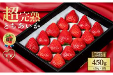 【先行受付：2月以降発送】いちご 鈴木ファームの完熟＆朝どれ とちあいか ギフト450g×1箱 | いちご イチゴ 苺 とちあいか 完熟 甘い あまい 果物 フルーツ 贈答用 ギフト プレゼント 鈴木ファーム 栃木県 茂木町