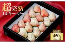 【先行受付：3月以降発送】鈴木ファーム厳選『幻のミルキーベリー』ギフト 450g×１箱 | いちご イチゴ 苺 ミルキーベリー ミルキー 完熟 果物 フルーツ 甘い あまい贈答用 ギフト プレゼント 鈴木ファーム 栃木県 茂木町