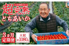 【先行受付：1月中旬以降発送】＜3回定期便＞いちご「茂木完熟いちご」師匠が育てた朝採れとちあいか 大粒  約270g × 4パック 合計約1080g | いちご イチゴ 苺 とちあいか 完熟 果物 甘い あまい フルーツ くだもの 旬 産地直送 栃木県産 関いちご園 栃木県 茂木町