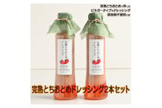完熟とちおとめドレッシング2本セット≪苺 いちご イチゴ 調味料 サラダ 栃木県≫