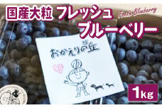 【先行予約】栃木県市貝町「おかえりの丘」フレッシュブルーベリー1kg◇ ※離島への配送不可 ※2025年6月中旬頃より順次発送予定