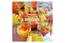 天然ものがたり≪ジャム ピクルス シロップ ミツ 無農薬 無化学肥料≫