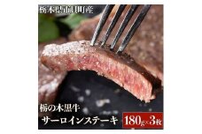 栃木県市貝町産　栃の木黒牛サーロインステーキ　※離島不可（北海道、沖縄本島は配送可能）≪牛肉 国産 おうちごはん ご褒美 冷凍 記念日 ギフト プレゼント 贅沢≫