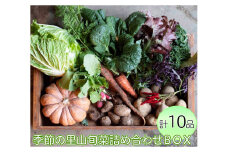 わたね　季節の里山旬菜詰め合わせＢＯＸ（計１０品）≪ギフト セット 野菜 無農薬 グルメ≫※着日指定不可