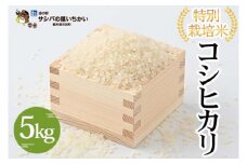 特別栽培米〈コシヒカリ〉5kg ※離島への配送不可 ≪米 お米 白米 ご飯 栃木県産≫